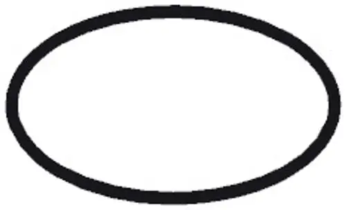 Schwarzer O-Ring in ovaler Form, hergestellt von Hansgrohe, auf weißem Hintergrund mit gleichmäßiger Dicke.